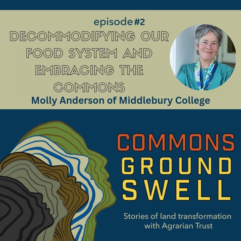 📣 EPISODE 2 JUST DROPPED! 📣

👉🏽 The commons, the false narrative that industrial agriculture is feeding the world, and why decommodification is necessary if we want to transform our food system.

Listen now on Spotify, Apple Podcasts, or at AgrarianTrust.org! 

#commoning