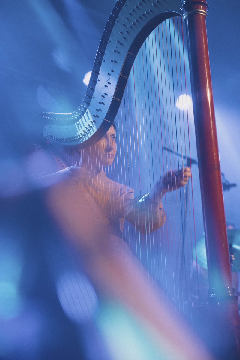 adeleboterf's tweet photo. Quelques extraits du festival @EUROPAVOX_Media au @Botanique 📸 Je suis trop contente du rendu de mes nouveaux filtres ✨ https://t.co/BETayhVM2e