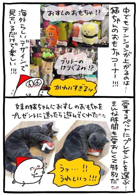 ペットショップで猫のおもちゃを買う
#マイフィンランドルーティン100
https://t.co/oHFX6XKLLE 