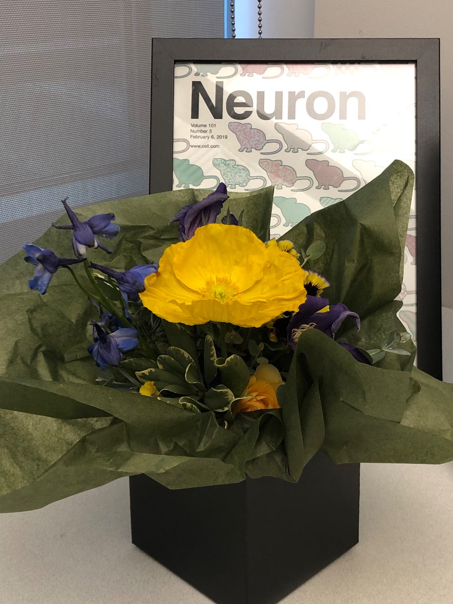 Dr.KaczorowskiLab tweet media