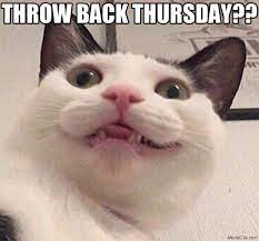 marillion13's tweet photo. Good afternoon & a happy #ThrowBackThurssday from now Angel Gizzy, Thori and lil Angel Sisi, da second hand kittehz & momcat, even though FUCKBOOK UNPUBLISHED my cats´ FB page & all 3 others of my 4 pages, why I´m on Twitter & Printerest in the main now.
😭😭😭😻😻😻💖💖💖☮️☮️☮️ https://t.co/01C2P9LxwI