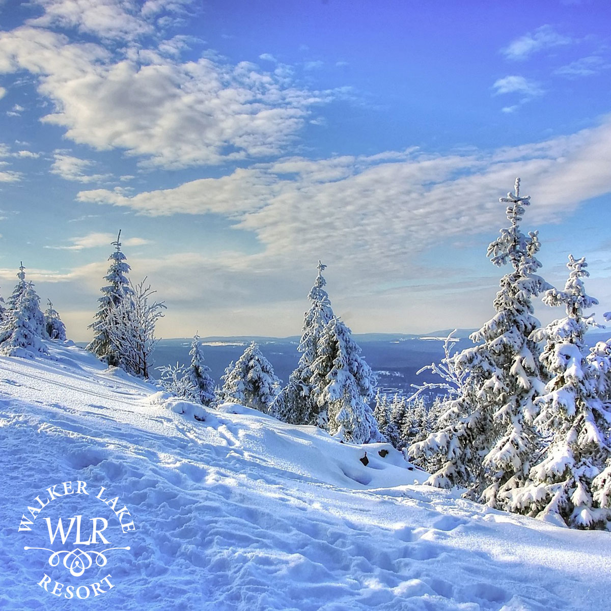 Off the beaten path 😍

walkerlakeresort.com
#winterwalking #muskokawinter #wintertime #muskoka #walkerlake #muskokalakes #ontario #huntsvilleontario #discoverontario #cottagestyle #discover #getoutside