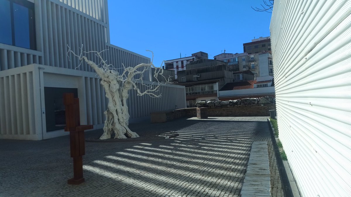 PacoHurtadoSan's tweet image. #Crucigrama #Verticales #Horizontales @MuseoHAlvear