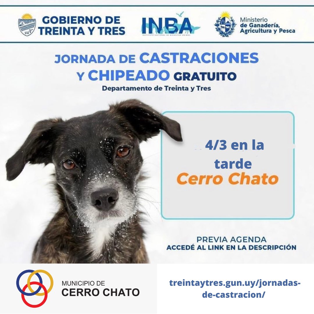 Dejo el link por aquí.. treintaytres.gub.uy/jornadas-de-ca…