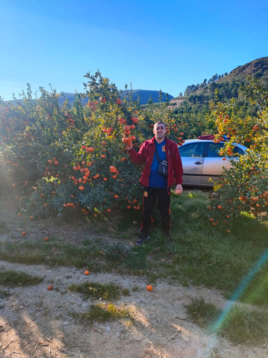 CoopsAgroCV's tweet image. Y así continúan las estancias formativas en explotaciones modelo de Rosa Ana y  José Antonio en @coopviver y #COBATUR, dentro del #ProgramaCULTIVA del @mapagob.

Mañana, visita técnica al campo de experiencias de @Bouquet_es en Museros y al @GVAivia 
#CULTIVA22 @redrunacional