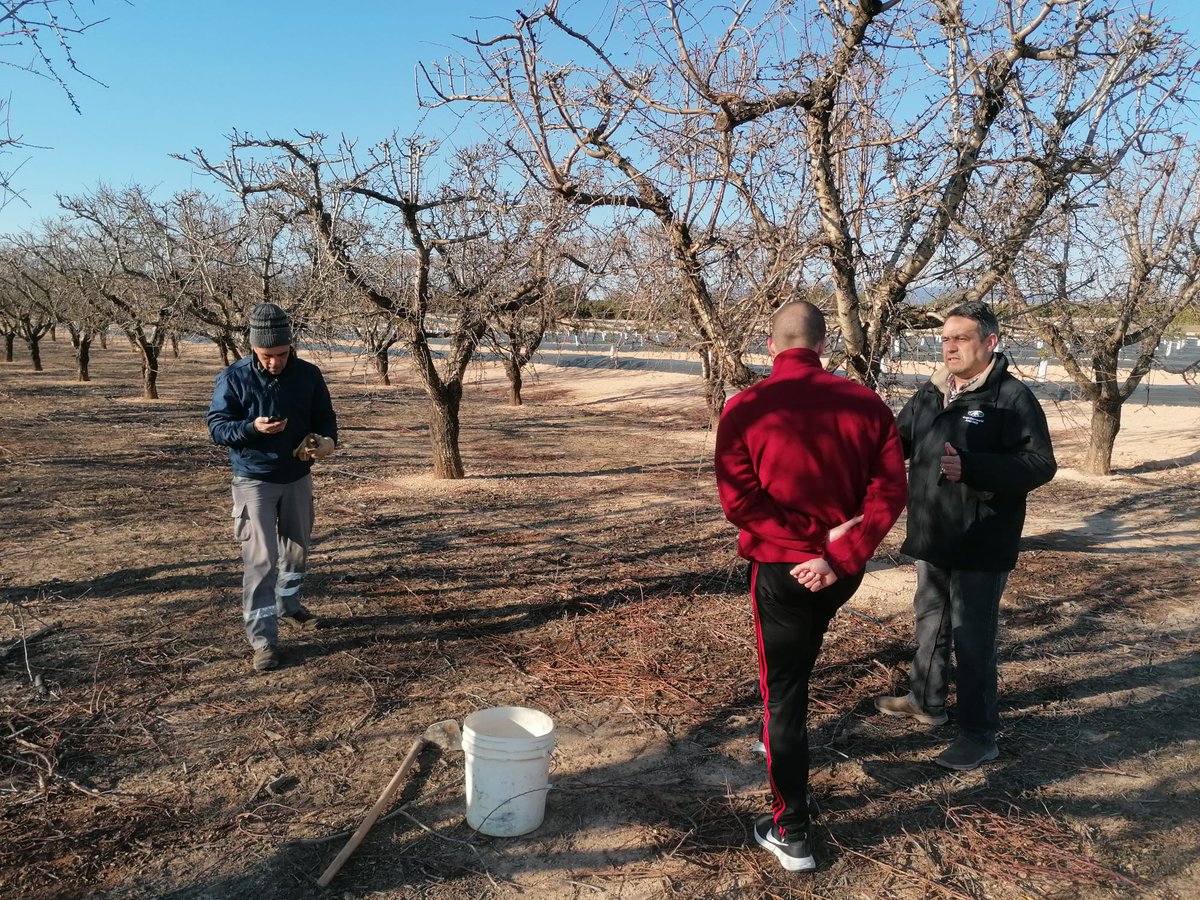 CoopsAgroCV's tweet image. Y así continúan las estancias formativas en explotaciones modelo de Rosa Ana y  José Antonio en @coopviver y #COBATUR, dentro del #ProgramaCULTIVA del @mapagob.

Mañana, visita técnica al campo de experiencias de @Bouquet_es en Museros y al @GVAivia 
#CULTIVA22 @redrunacional