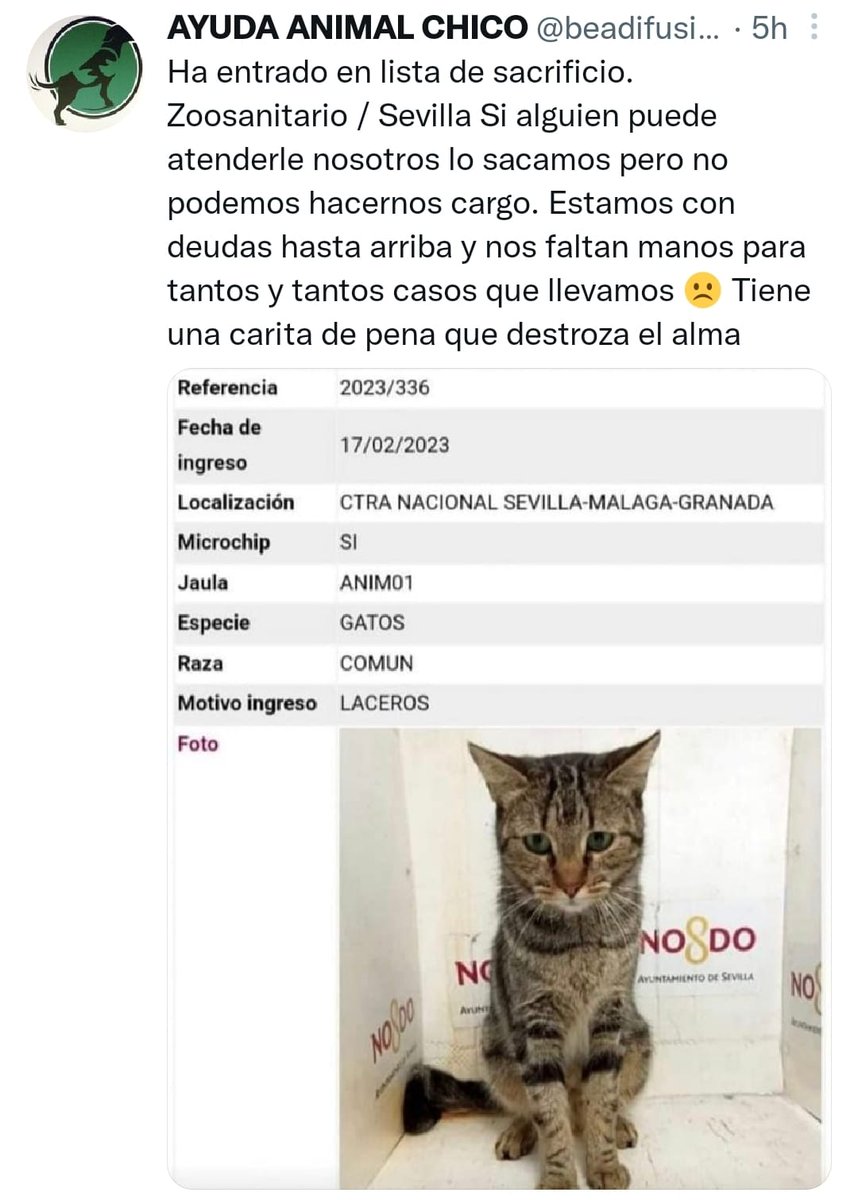 SilviaMylo's tweet photo. Lo van a matar ‼️
Ayuda por favor difundir ‼️
😢 🆘 📢 📢 📢 📢 📢 https://t.co/eAglutqmci