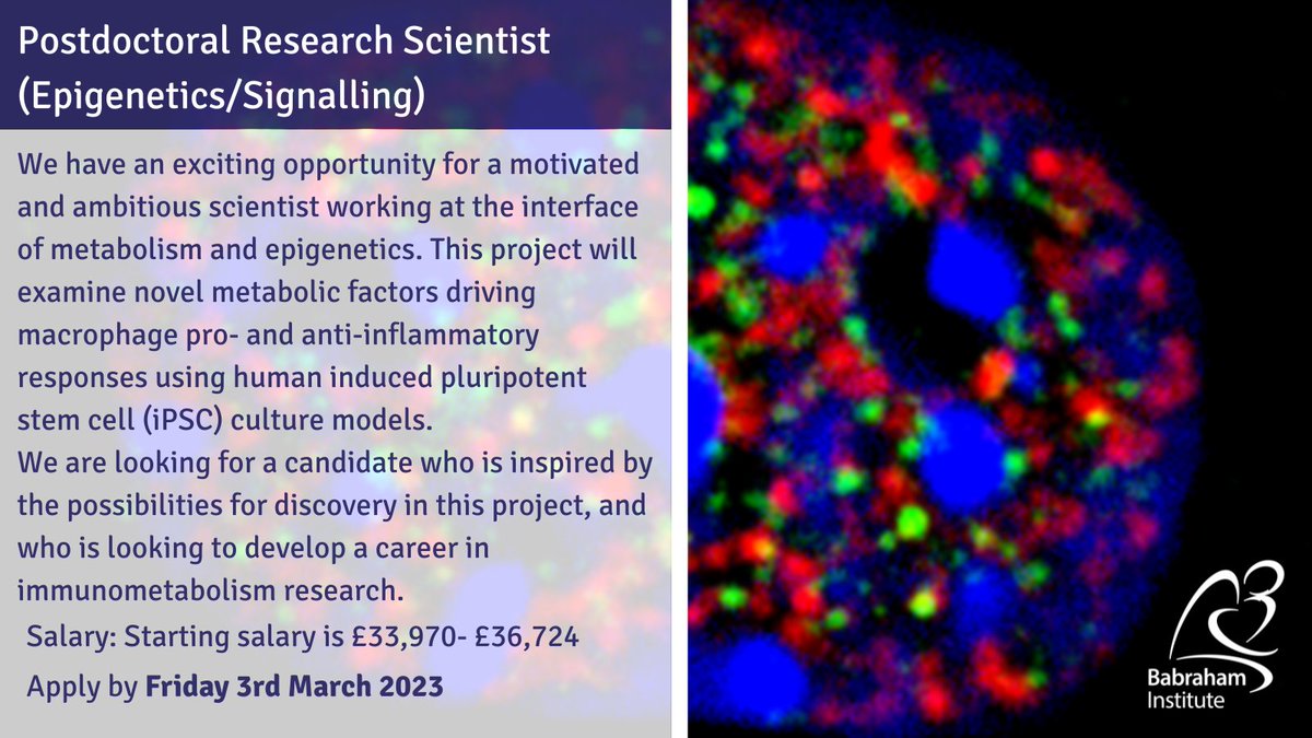 Babraham Institute (@babrahaminst) on Twitter photo CLOSING TOMORROW: Join the <a href="/trefely/">Trefely Lab</a> lab as their new postdoc!
The lab is focussed on the links between diet-derived metabolites and epigenetic regulation.
Details: ow.ly/iW6250MKK9N #ScienceJobs #Careers #PostDocPosition CLOSING TOMORROW: Join the <a href="/trefely/">Trefely Lab</a> lab as their new postdoc!
The lab is focussed on the links between diet-derived metabolites and epigenetic regulation.
Details: ow.ly/iW6250MKK9N #ScienceJobs #Careers #PostDocPosition