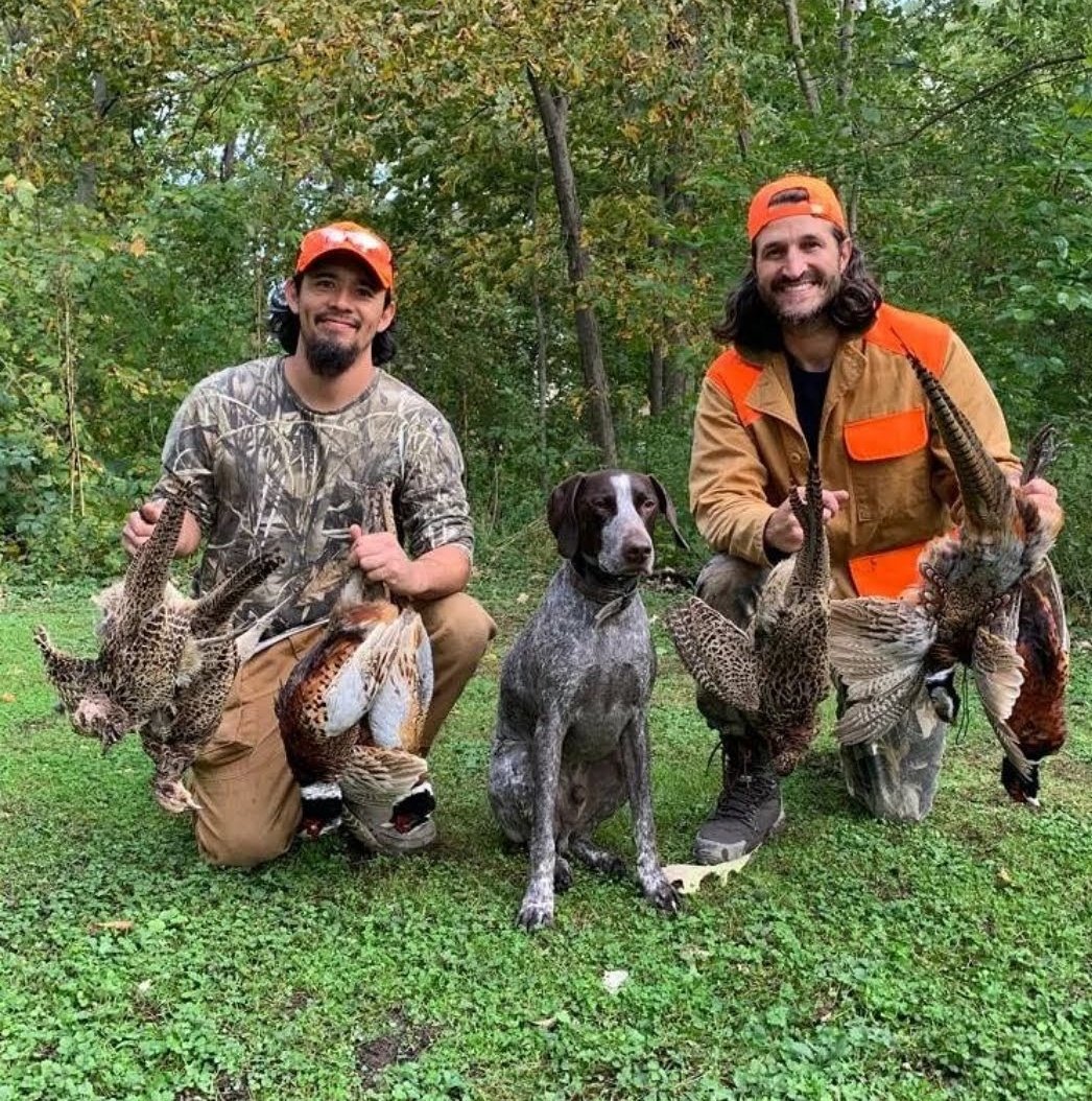 Wandering Dog INN tweet media