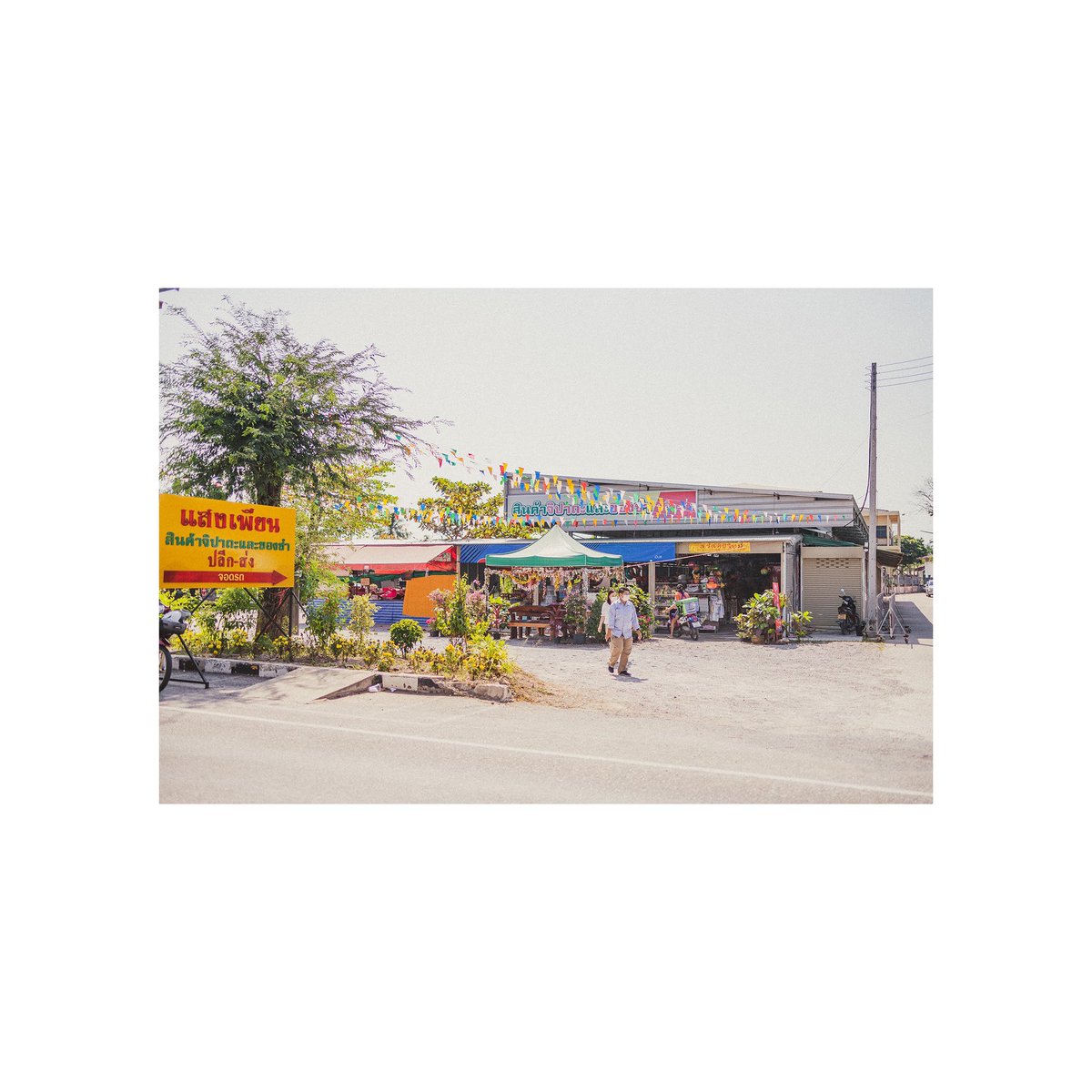mone_nonbiri's tweet photo. travel snap in Thailand🇹🇭
#photo
#photograghy
#travel
#travelsnap https://t.co/XVy86lRRVz