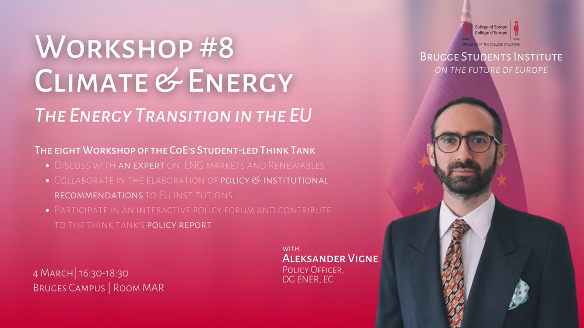The Working Group of #Climate and #Energy of the @BSIFE_coe is ready to launch its second workshop. On Saturday March 4, we will hear from our guest speaker Aleksander Vigne from <a href="/DGENER/">dgener</a> about the #LNG markets and #globalgas supply. Very much looking forward to this!