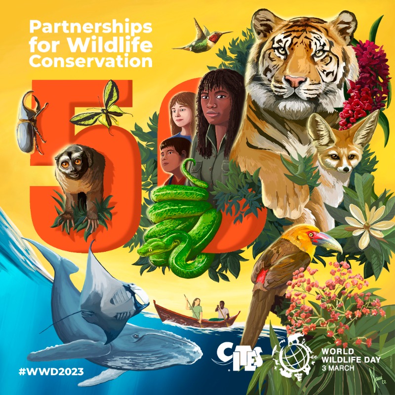 UNEP's tweet photo. "As we step up action to tackle the biodiversity crisis, partnerships for wildlife conservation – indeed the theme of #WorldWildlifeDay - will be critical."

@andersen_inger on the 50th anniversary of @CITES &amp; its conservation efforts.