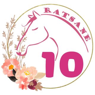 Derriere Equestrian tweet media