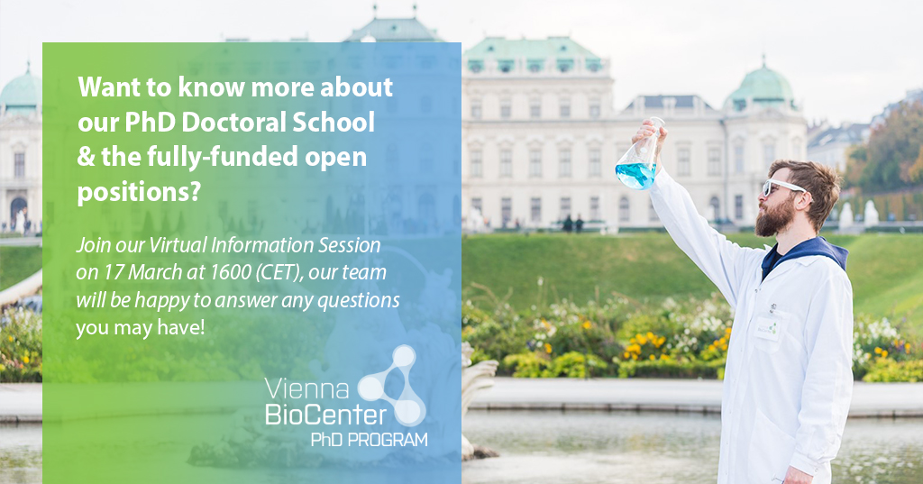 TrainingVbc's tweet photo. Our team is going to answer your questions about our PhD program on 17 March! Sign up now for the virtual information session.  Pass on or share with your colleagues!
https://t.co/cLBUYdqDeX

@IMPvienna @IMBA_Vienna @gmivienna @MaxPerutzLabs @univienna @MedUni_Wien https://t.co/SHqTd7Rk7b