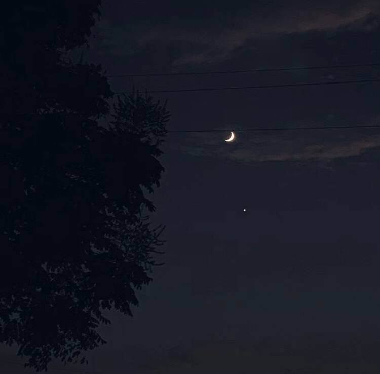 Flowers bloom outside the window, you come to my dream