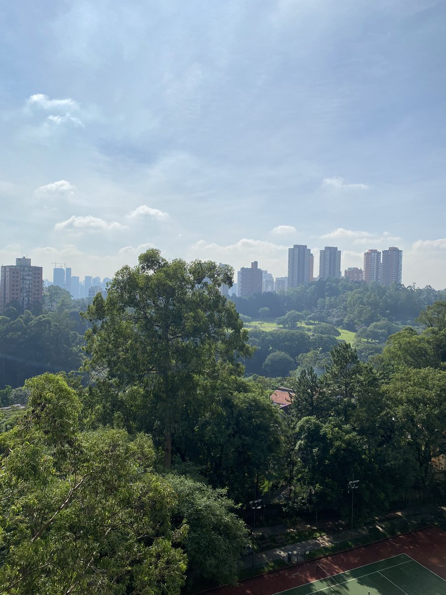 jpcastagnoli's tweet photo. Bom dia São Paulo 💚 https://t.co/QCzP4cQsuc