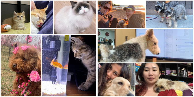 It seems we love our pets @Currie-Brown. When we asked our people what supports their #wellbeing, our furry friends proved to be popular. Here are some of the pictures that people across the group shared of their pets. #pets #health