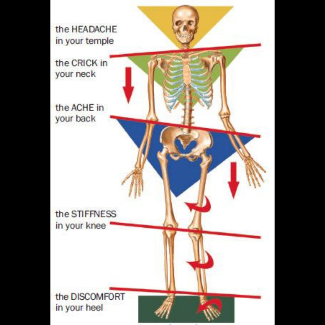 Holisticare1's tweet photo. Everything that happens to you in your lifetime - emotional or physical, is potentially held within your fascial system. These restrictions can cause compensations throughout your body and may result in pain, tension and inflammation. #Holisticare #myofascialrelease https://t.co/60AxpU4iij