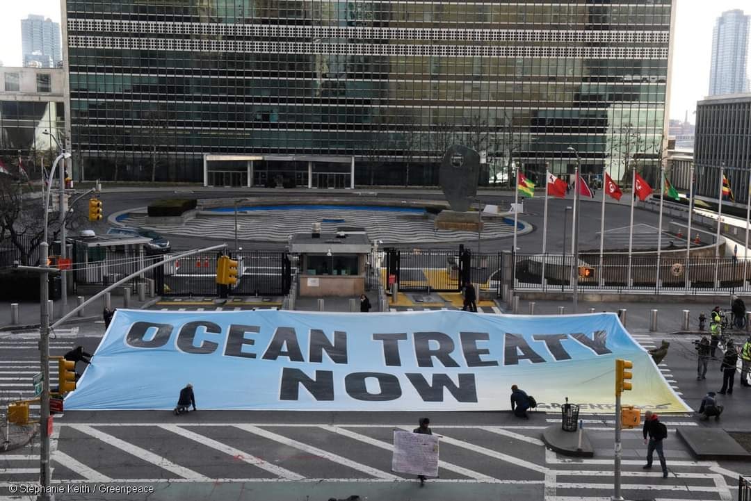 SOLO QUEDAN DOS DÍAS.‼️

Los líderes mundiales tienen solo 2 días para asegurar proteger el 30% de los océanos para 2030 con un Tratado de los Océanos sólido. 
#ProtectTheOceans #BBNJ #OneOceanOnePlanet #ProtegeLosOcéanos #IGC5