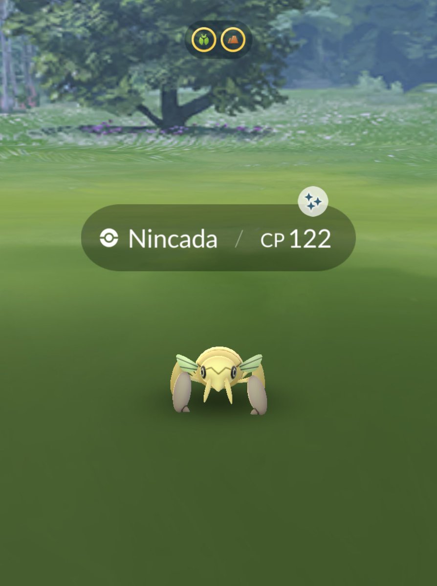 kukulove__'s tweet photo. Some of my other fave shinies I caught during the Hoenn event✨ #catchinguponposts #pokemon #pokemongo #shiny #ShinyPokemon #ShinyCheck https://t.co/KoEpUwWoHt
