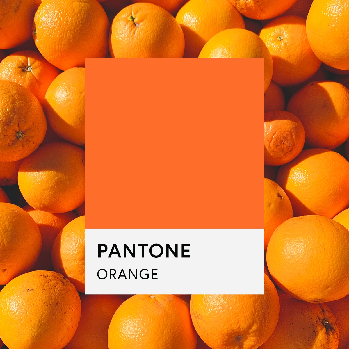 luciannesoley's tweet photo. Do you know why Hermes icons gift boxes are orange? 🔶 Find out in the latest of the colour blog series on our website.
Tweet us if you didn’t get it right!
#soleycreative #brandcolours #powerofcolour #orange #colourpsychology #buildingyourbrand #graphicdesignerforhire https://t.co/w2jwkQ7Upm