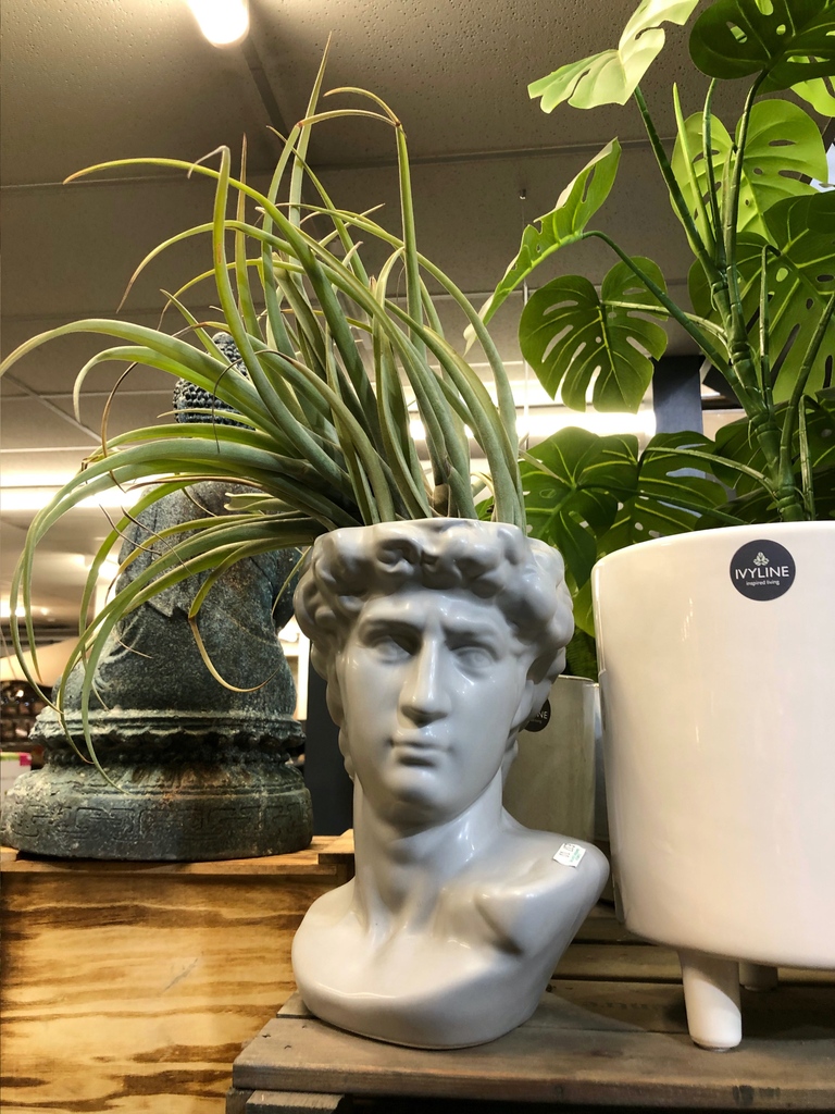 camdengardencen's tweet photo. Contemporary range of #indoorpots #outdoorpots #pots & #gardendeco + #interiordeco
#gardencentre #socialenterprise #newseason #happyspring2023 #metime #houseplantsofinstagram #urbanjungle #houseplantcommunity https://t.co/rtFsMtpdeL