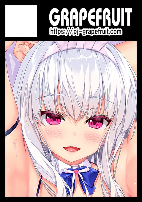 夏コミ申し込みました。C102から1サークルで2スペース申し込めるようでしたので、二つとも同じサークル名になってます。これで本当にいいのか不安になりますが・・・😮 