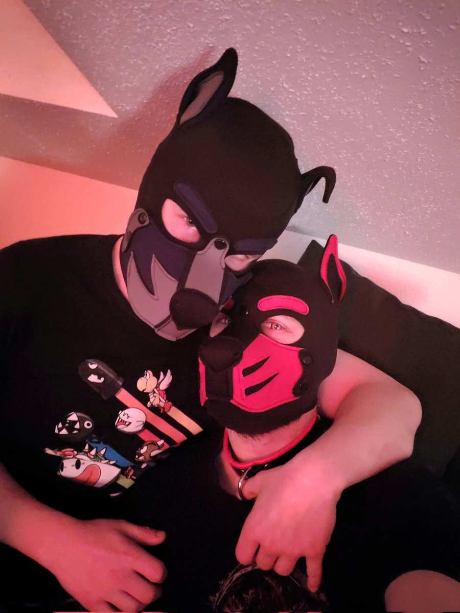 Redpup_Zero's tweet photo. Late night cuddles with the best boy @FilthyBlueberry 🐶❤️ https://t.co/OiWFJ0ge2P