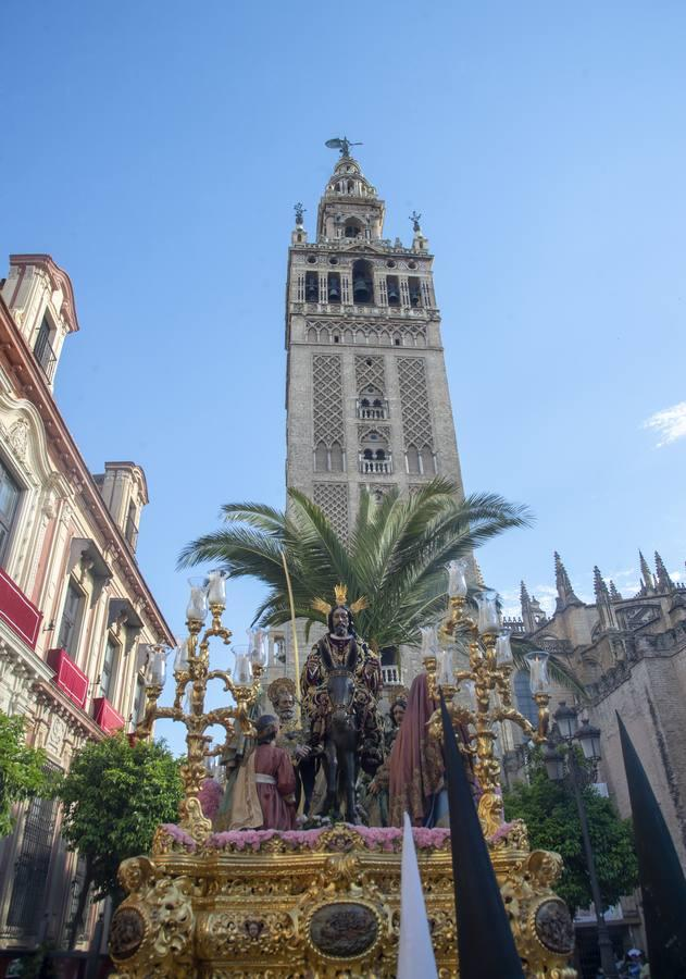 PasionDeSevilla's tweet photo. EN UN MES, ESTAREMOS VIVIENDO ESTO. 😍❤

#SSantaSevilla23 https://t.co/F0chJizruG