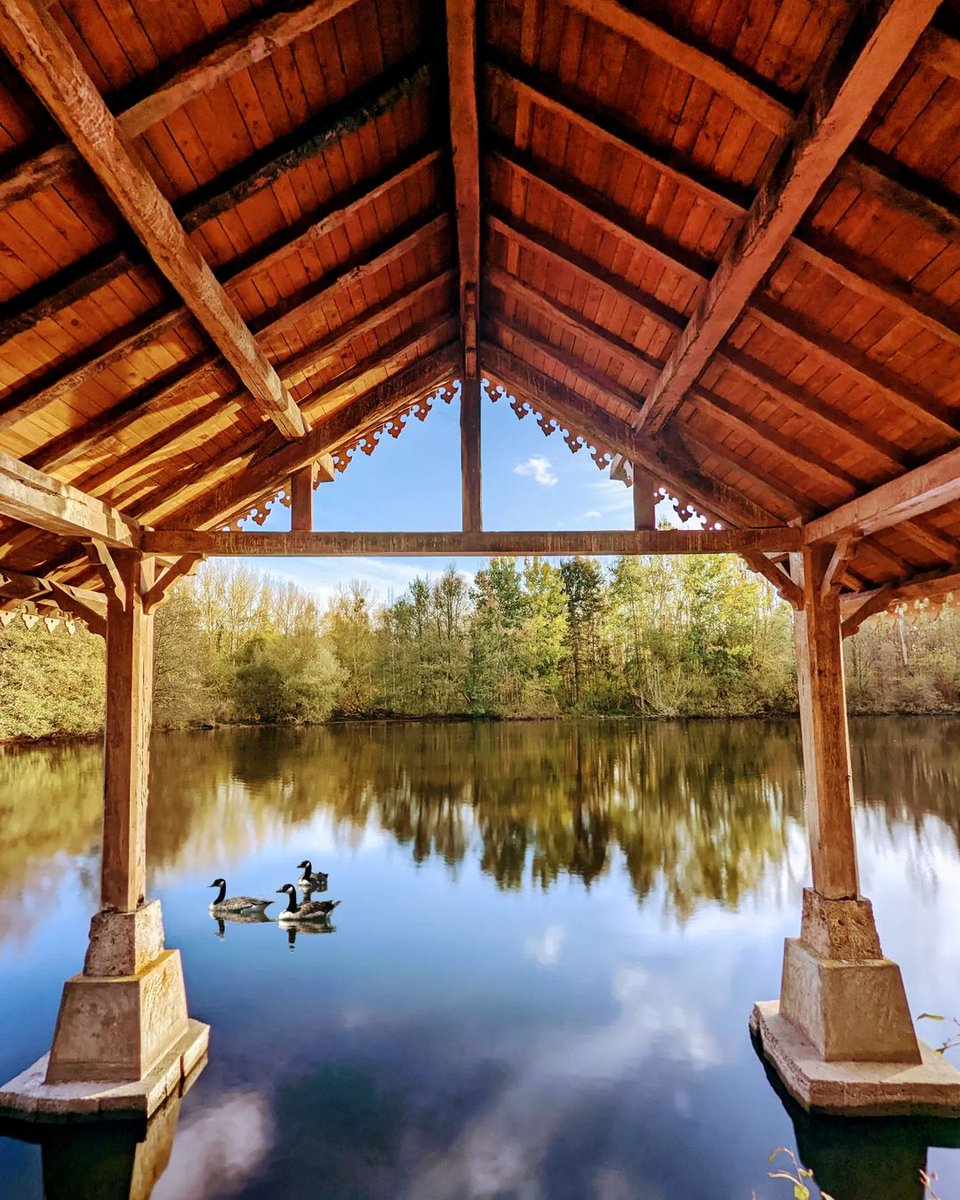 TourismeRT78's tweet photo. Un petit air de vacances plane à la Réserve Naturelle Régionale des Étangs de #Bonnelles ! 

@_s.yl.vie https://t.co/LInfSJBnOs