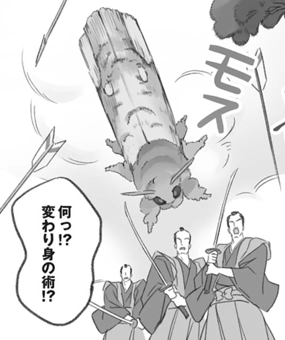 今週のモス日、薩摩モス  