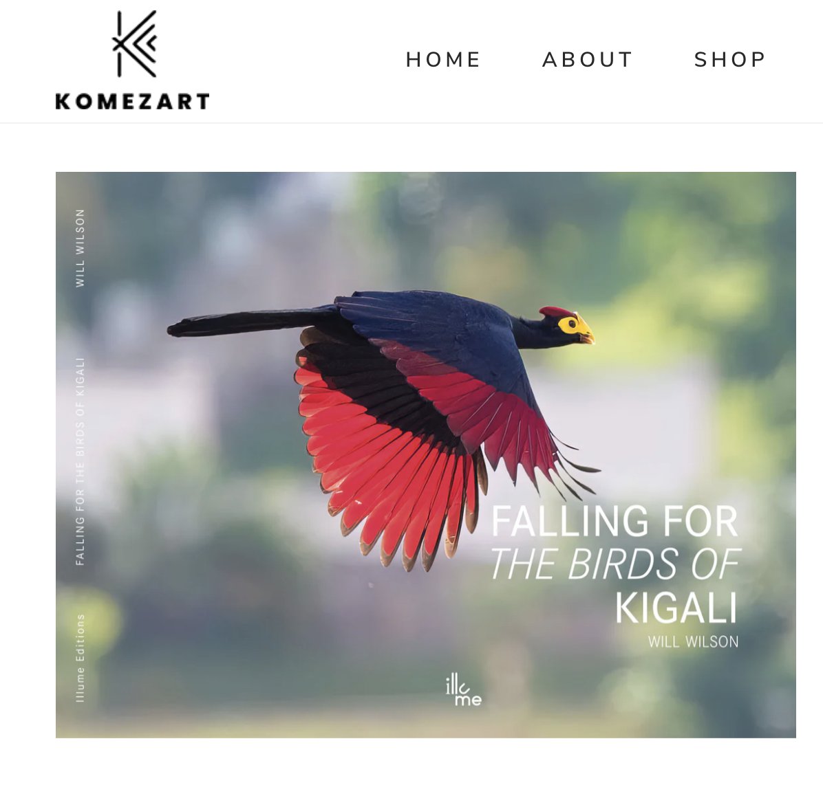 IllumeEditions's tweet photo. the book is also available online at @komezart: https://t.co/j9zXRuI0Rj #birdsofkigali #photography #photobook #creative250 #my250 #visitrwanda https://t.co/xCIrWkWB4R