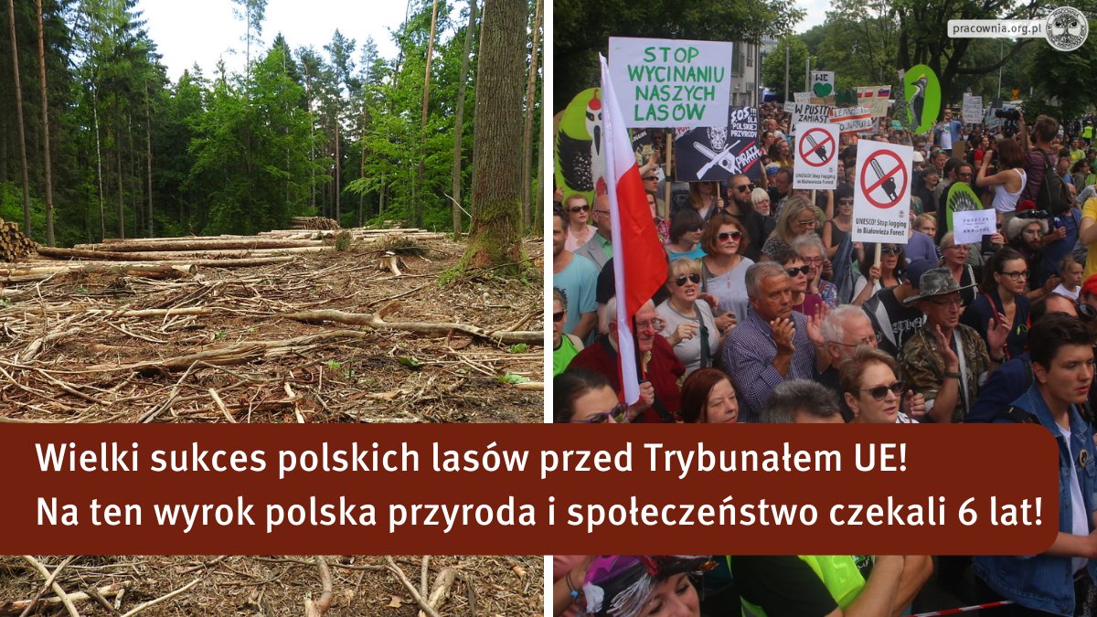 Sukces polskich lasów przed TSUE. Wygrała 🇵🇱🌳przyroda i społeczeństwo! Trybunał orzekł, że Polska łamie prawo środowiskowe 🇪🇺 a społeczeństwo jest pozbawione prawa do sądu w zakresie zaskarżania PULi. Pora na głęboką reformę Lasów Państwowych! <a href="/Nasze_Lasy/">Nasze Lasy 🌳🌍🏞⚔️</a> <a href="/IKarpaty/">Inicjatywa Dzikie Karpaty</a> <a href="/FaktyTVN/">Fakty TVN</a>