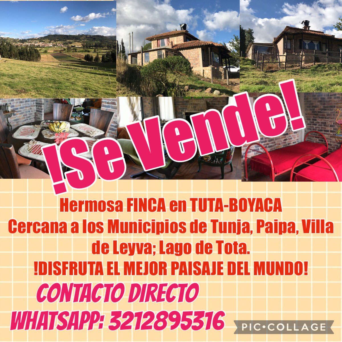 ALCISTALIN's tweet photo. Se vende finca conformada por 8.110 mt2 de terreno y cabaña de 109 mt2, Ubicada en el municipio de Tuta- Boyacá, entre los municipio de Tunja y Paipa y a una hora y media de Bogotá..  Ideal para inversión en proyecto Ecoturistico.Contacto Directo al WthasApp: 3212895316 https://t.co/w1I7xFHfmN