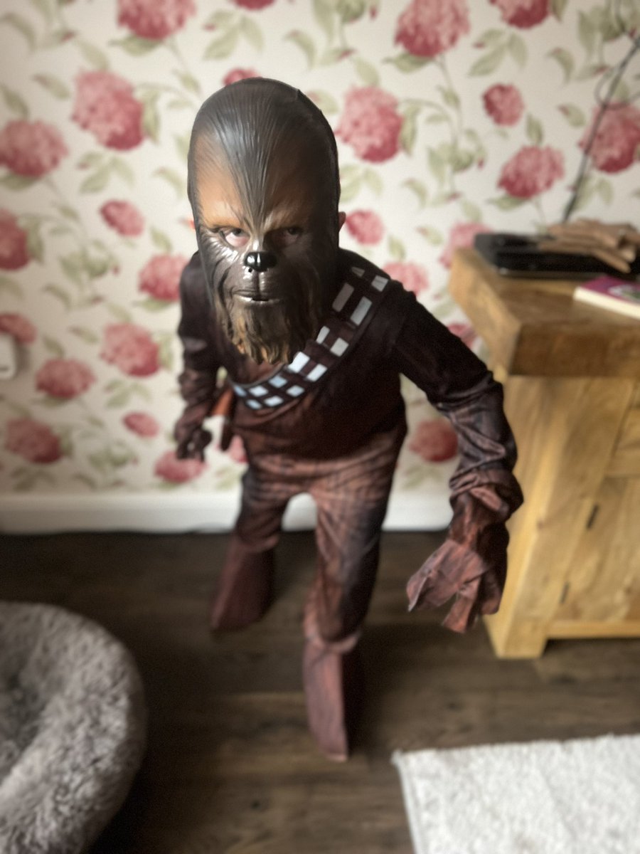 MagsRach's tweet photo. Already for world book day . Vinnie @LockiesCPS https://t.co/l0SGNMIzVG