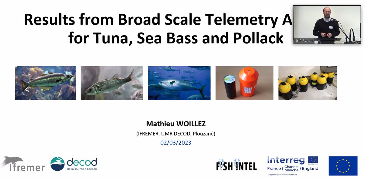 ProjectRaNTrans's tweet photo. Joined @fish_intel workshop today to hear about their work to improve the ecological status of transitional areas
#Mapping habitat most used by fish species
#Evidencing essential ecosystem for management
#LucyHawkes #EmmaSheehan #MathieuWoillez #JamesStewart
@Channel_Manche https://t.co/2X1O3FzGT1