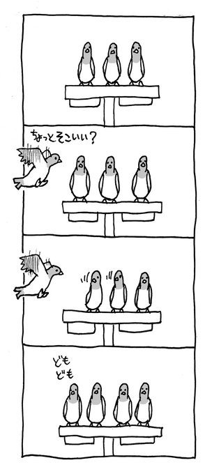 この前 陸橋の上から見たハト。 