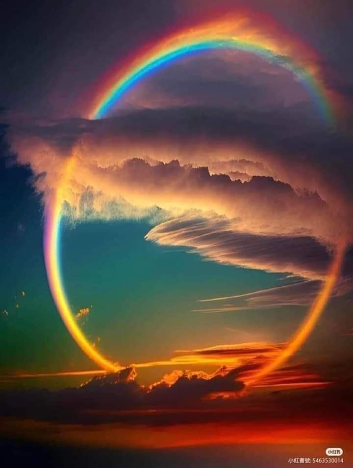 WOW...ARCOBALENO completo preso da
30.000 piedi di altitudine.
Foto del pilota - Lloyd J Ferraro.
