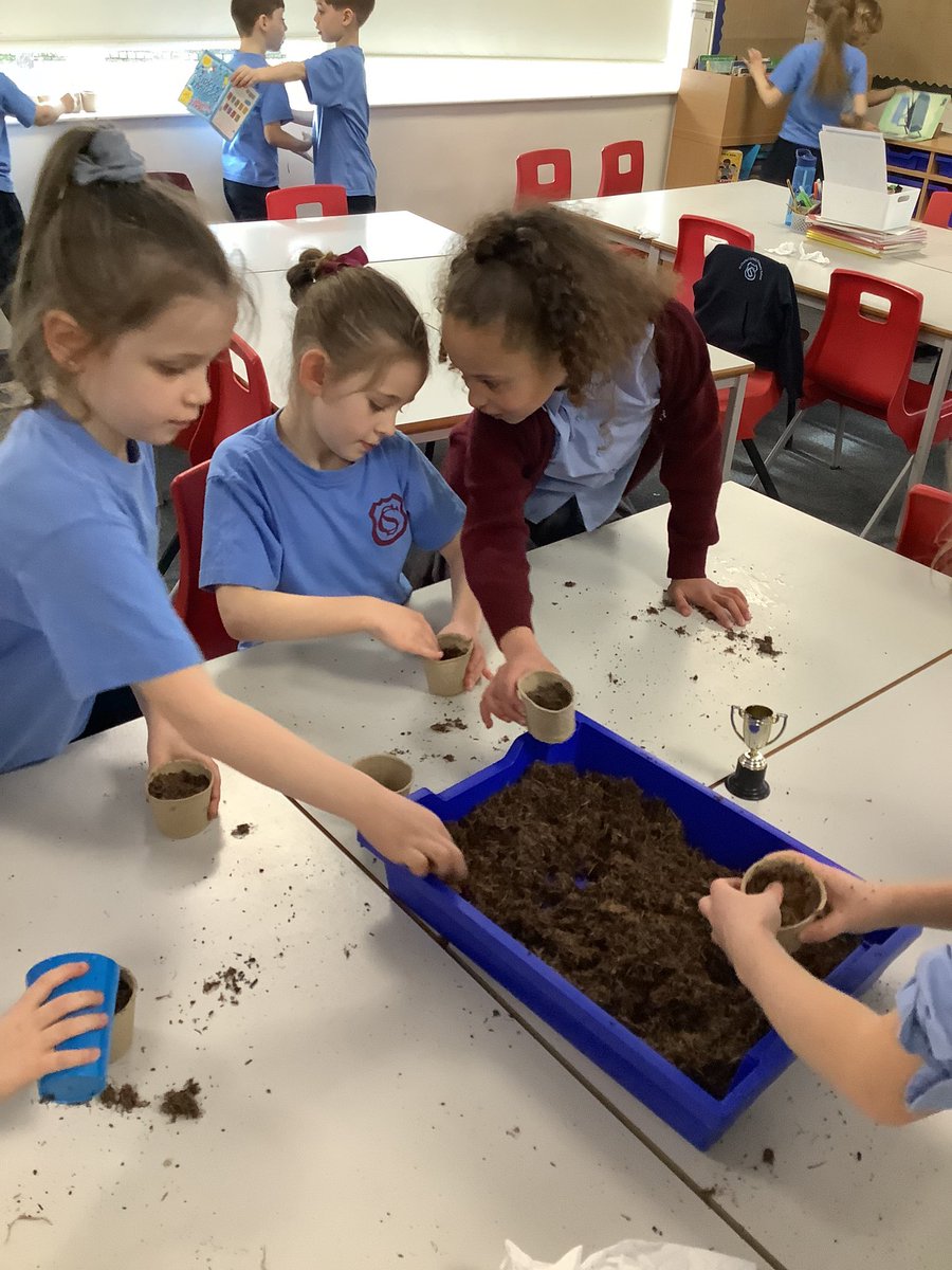 St Charles Catholic Primary Year 2 tweet media