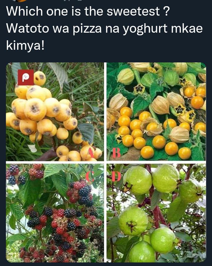 JnrKikaih's tweet image. 