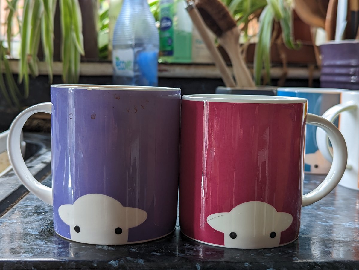 Shaun Crampton tweet media