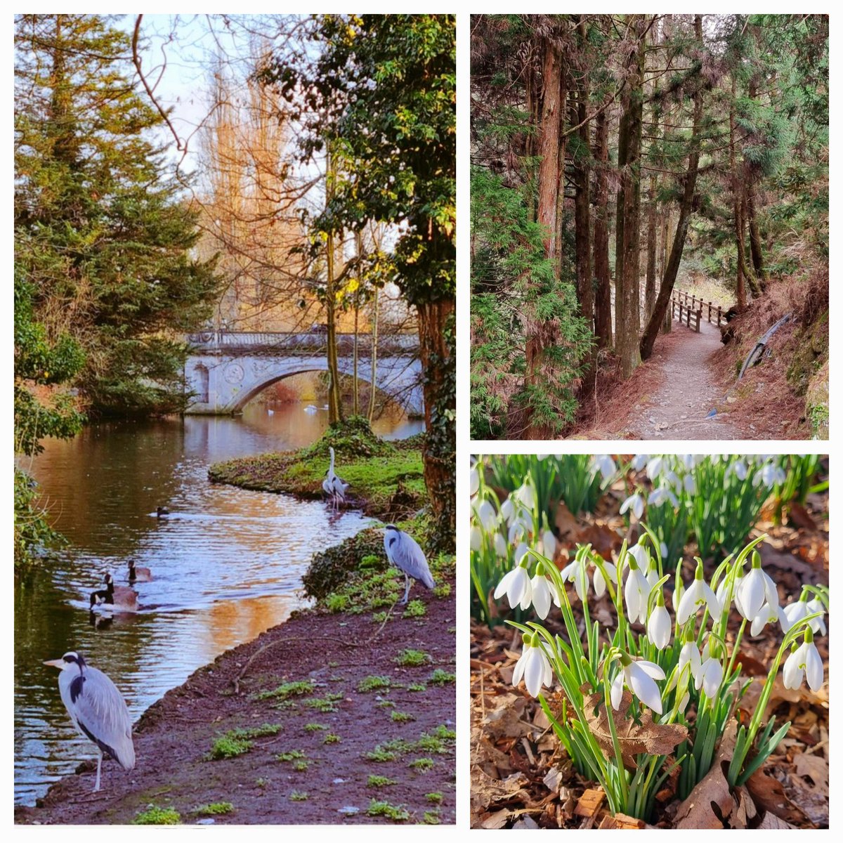 Elcin Jundi tweet media