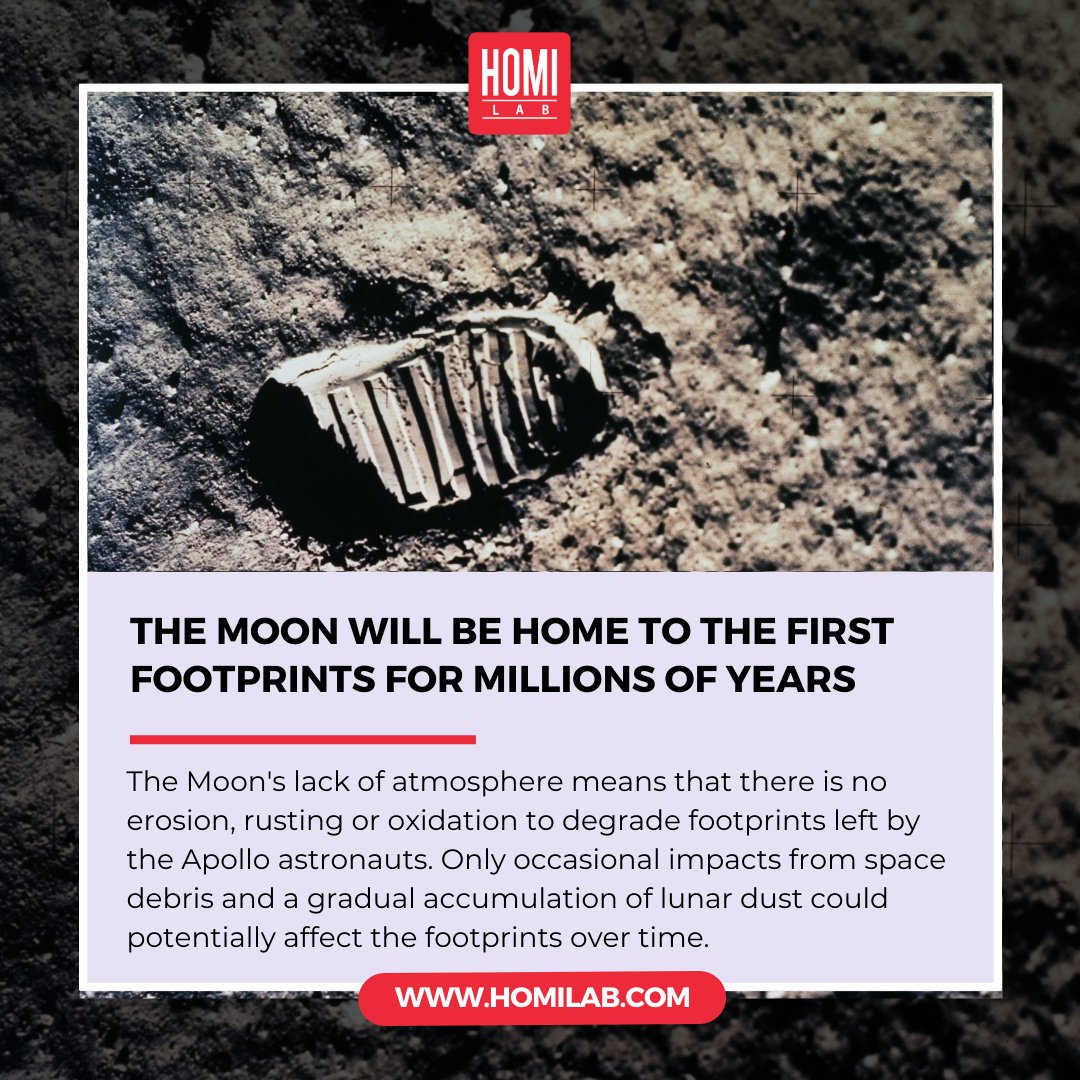 homi_lab's tweet image. Did you know that the footprints left by the Apollo astronauts on the lunar surface will remain there for millions of years? #MoonFootprints #ApolloProgram #SpaceExploration #Homilab
