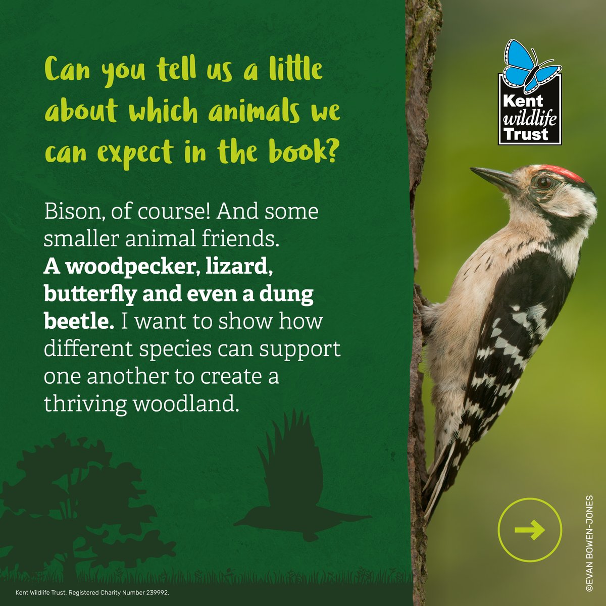 Kent Wildlife Trust (@KentWildlife) / Twitter Kent Wildlife Trust (@KentWildlife) / Twitter