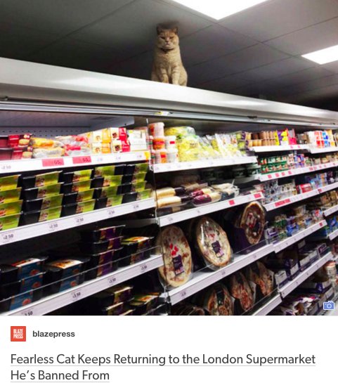 CrapLocalNews's tweet image. #BreakingNews