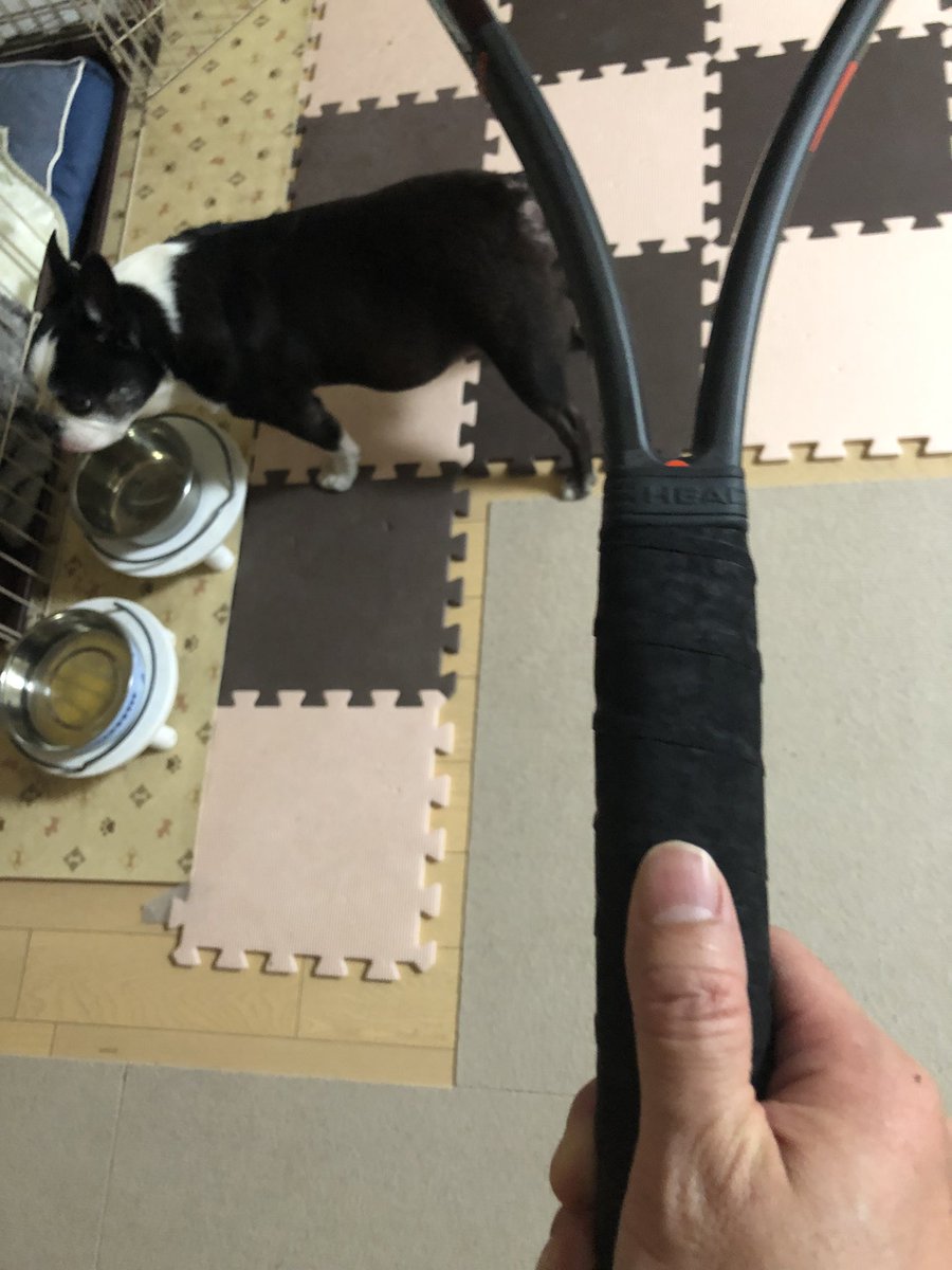 右のフォアハンドは親指をラケットに添えて打つ変態グリップなんだけど、こんなグリップで打つ変態さんは他にいませんよね？安定感とスピン量はアップするんだけど、あるレベル超えてくるボールを受けると、面ブレし始める💦