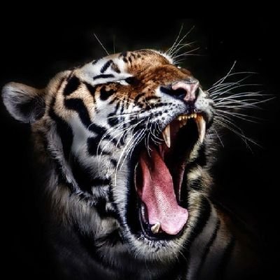 khimera00's tweet photo. #NewProfilePic https://t.co/2gghwvUqjn