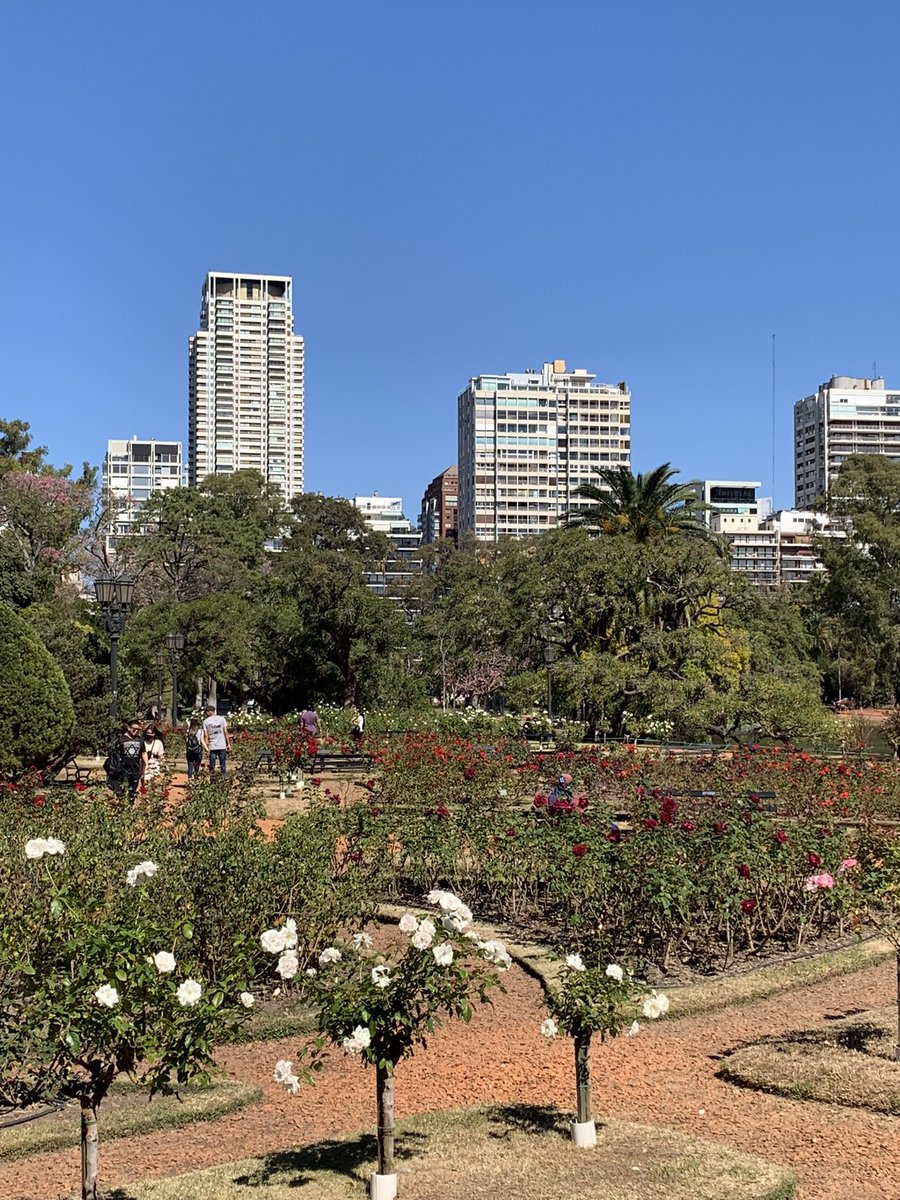 MartaMZ_pl's tweet photo. Rosedal is a beautiful #park in #Palermo, distinguished by a large number of unique species of #roses! #BuenosAires #Argentina #travel #travelblog #placetobe #plants https://t.co/bOb3rT7ojP