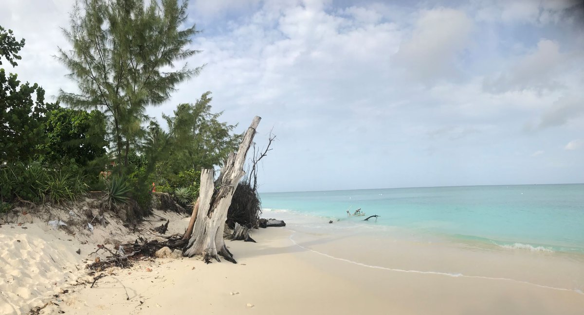 Cefas (@cefasgovuk) on Twitter photo Cefas and <a href="/UK_CEH/">UK Centre for Ecology & Hydrology</a> have been supporting the <a href="/caymangovt/">Cayman Islands Government</a> to identify the most pressing marine climate risks facing the Cayman Island's biodiversity, society & economy 🌊. This new assessment will help inform future climate policy & increase resilience.
▶️ bit.ly/3ZAJ6dF Cefas and <a href="/UK_CEH/">UK Centre for Ecology & Hydrology</a> have been supporting the <a href="/caymangovt/">Cayman Islands Government</a> to identify the most pressing marine climate risks facing the Cayman Island's biodiversity, society & economy 🌊. This new assessment will help inform future climate policy & increase resilience.
▶️ bit.ly/3ZAJ6dF