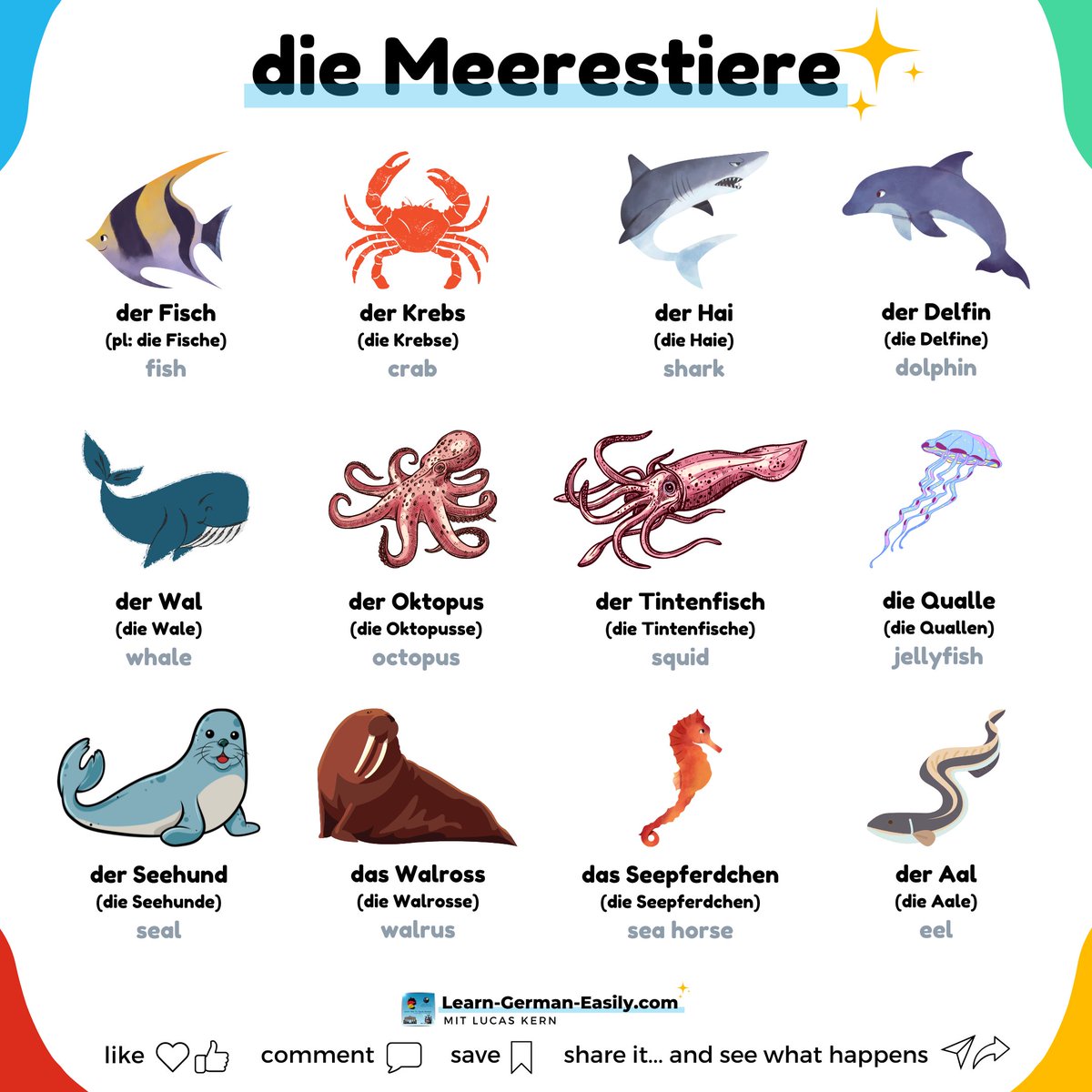 LearnXDGerman's tweet image. 🇩🇪

🐙🐳🦈 Let&apos;s learn more German vocabulary today!

Today I want to teach you a few sea animals.

Did you know these before?

Listen to more German vocabulary:
learn-german-easily.com/german-vocabul…

___
#LearnGerman #studygerman #deutscha1